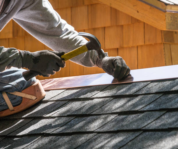 Best Roof Gutter Cleaning  in Juneau, AK